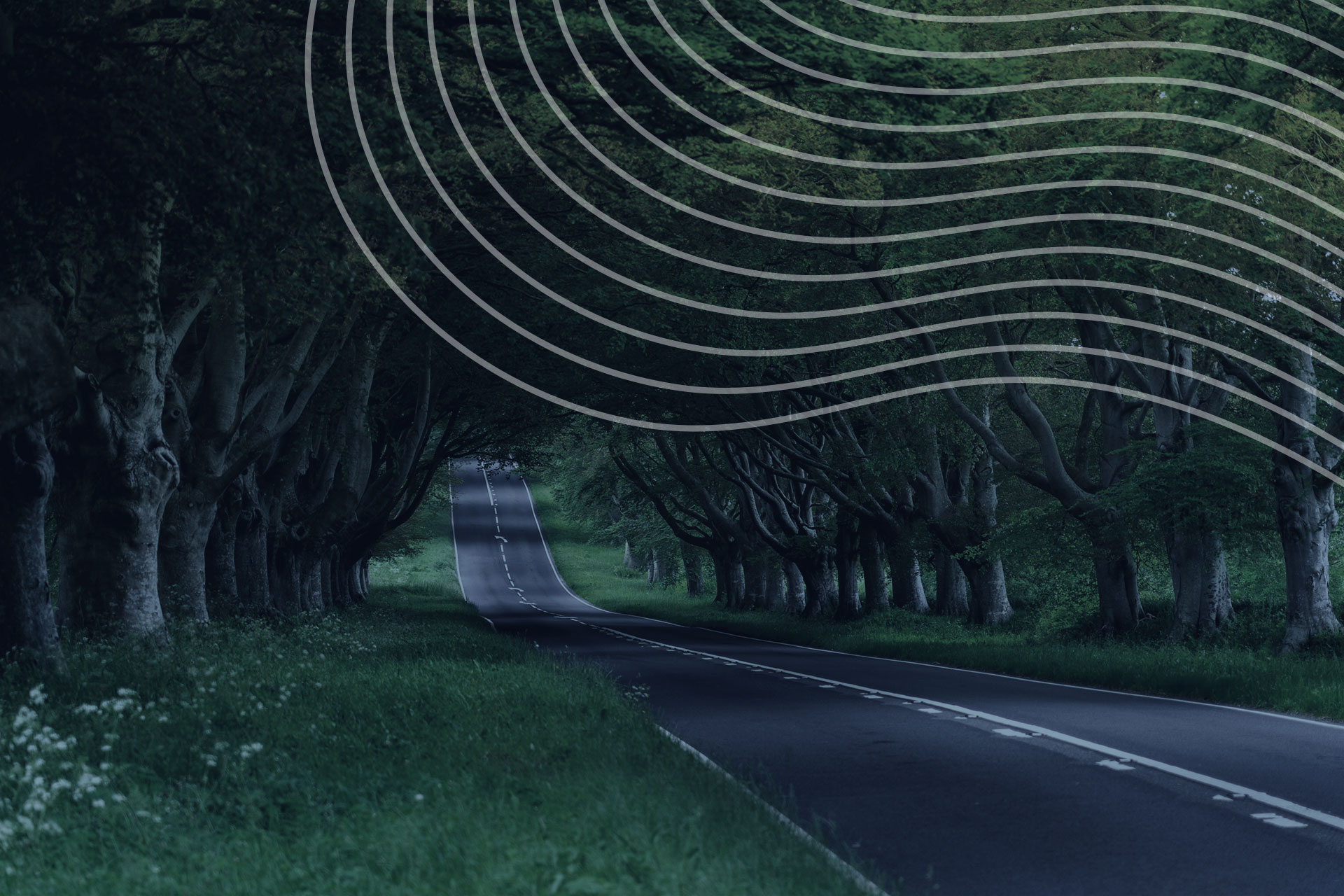 Rockborn Thisdoesnotapplytoyou